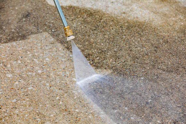 Best Roof Washing  in Fredericksburg, IA